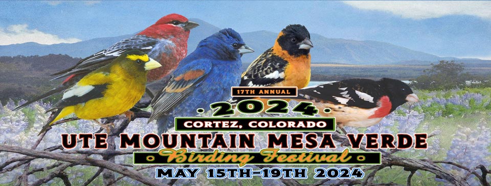 Ute Mountain Mesa Verde Birding Festival, May 15 - May 19, 2024