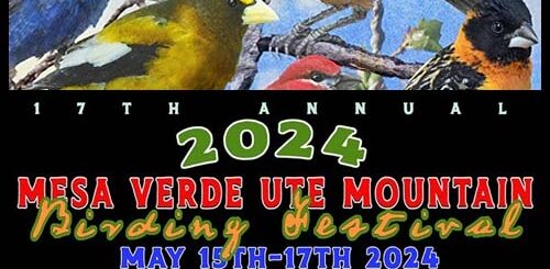 Ute Mountain Mesa Verde Birding Festival 2024